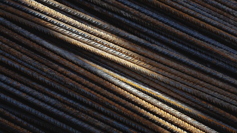 Vlife TMT bars